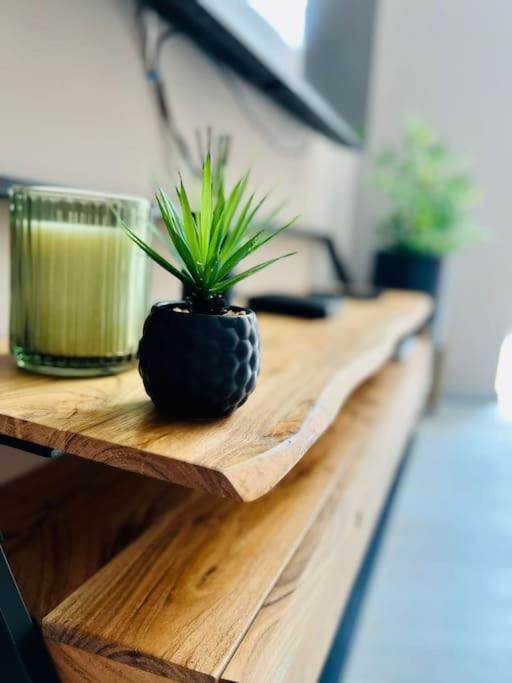 Appartement Tropical Льеж Экстерьер фото